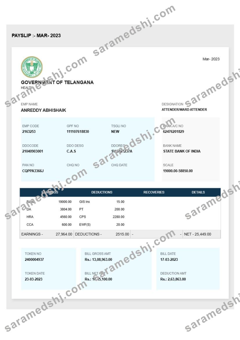 Government of Telangana payslip template in Word and PDF formats.pdf, 1